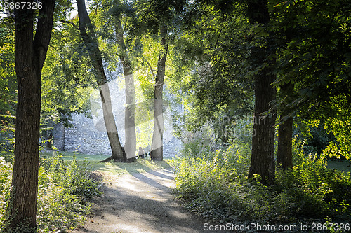 Image of Lone woman in wood