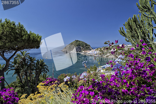 Image of View of SantAngelo in Ischia Island