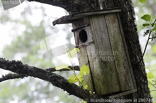 Image of old wooden birdhouse on a tree