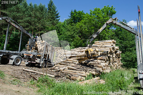 Image of workers load wood to truck with crane 