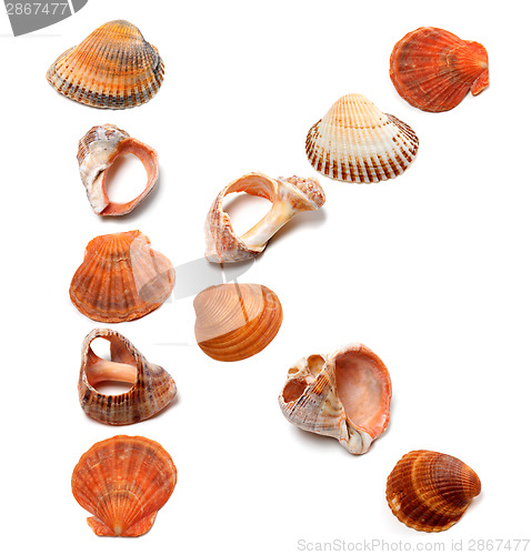 Image of Letter K composed of seashells