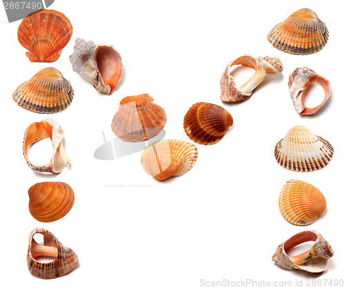 Image of Letter M composed of seashells