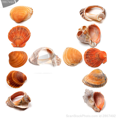 Image of Letter H composed of seashells