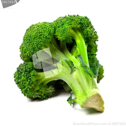 Image of Broccoli on white background