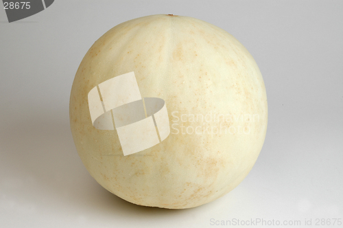 Image of honeydew