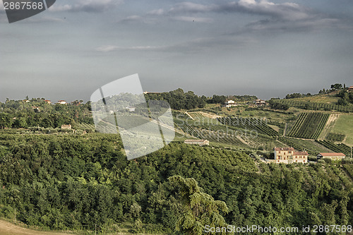 Image of Vineyards on  hills at sunset