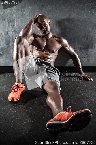 Image of Muscular Body Builder