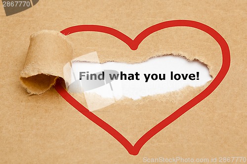 Image of Find what you love Torn Paper