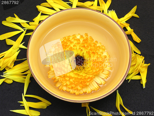 Image of Water with marigold surrounded by yellow petals