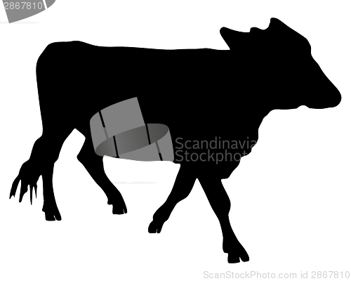 Image of The black silhouette of a cow on white 