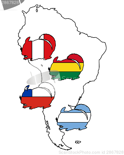 Image of Chinchilla South America