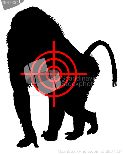 Image of Baboon crosslines