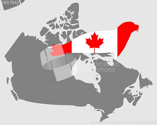 Image of Canadian seal