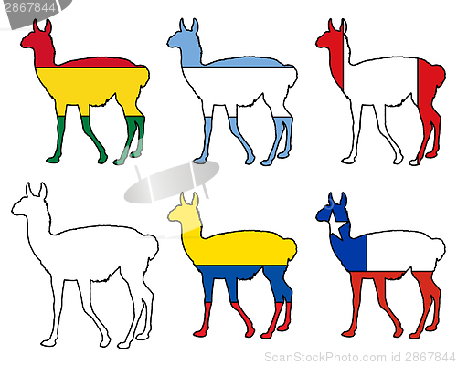 Image of Guanaco flags