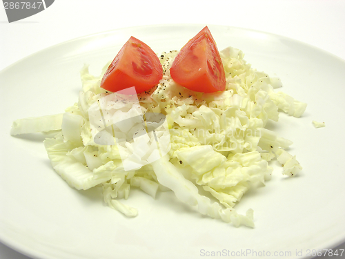 Image of Close-up view on chinese cabbage and tomatoes with pepper