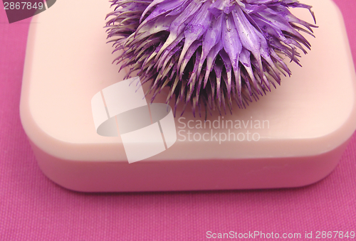 Image of Pink soap with decoration articles on a  pink background