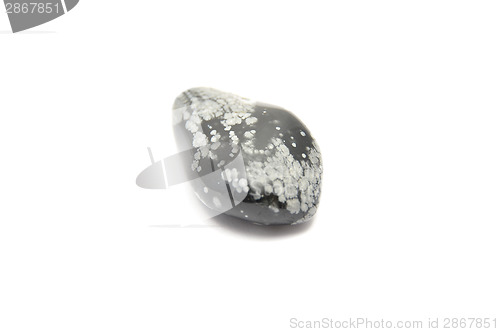 Image of Detailed and colorful image of snowflake obsidian 