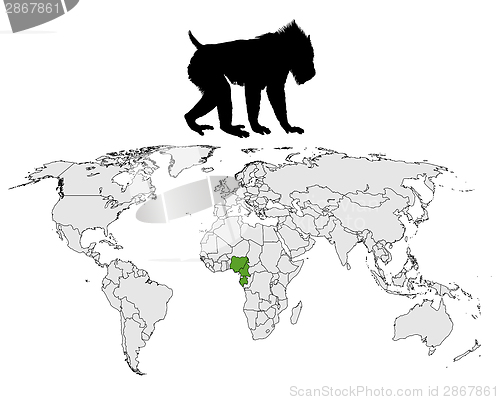 Image of Mandrill range map