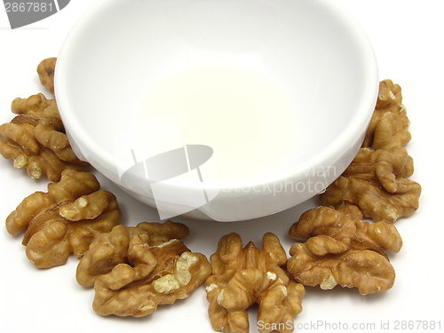 Image of Walnut oil in a bowl of chinaware surrounded by walnuts