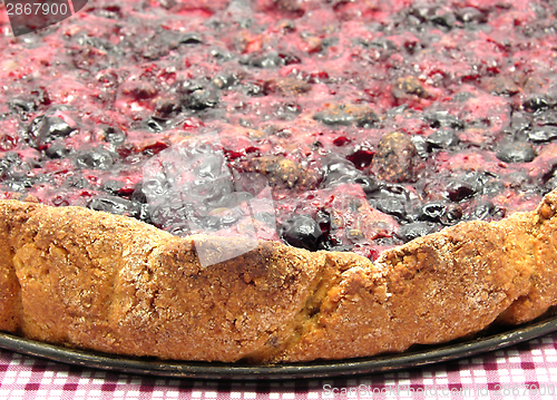 Image of Delicious berry cake on checked table cloth