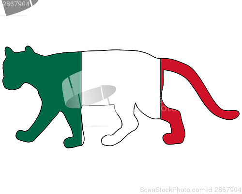 Image of Cougar Mexico