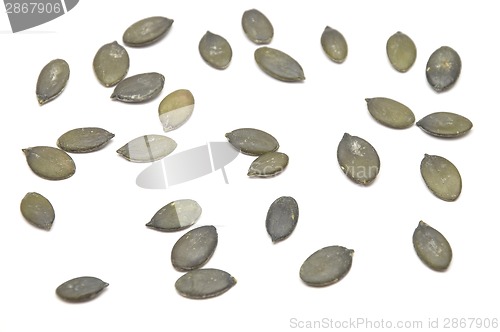 Image of Detailed but simple image of pumpkin seed