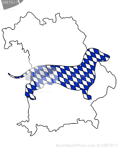 Image of Bavarian badger
