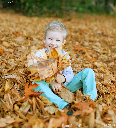 Image of kid at fall