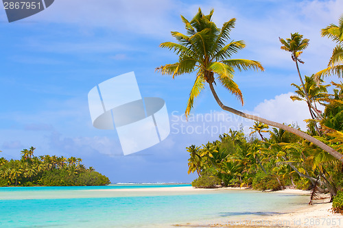 Image of tropical landscape