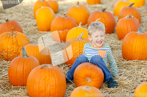 Image of kid at pumpkin patch