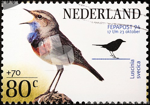 Image of Bluethroat Stamp