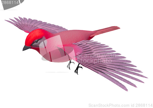 Image of Songbird Tanager