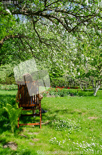 Image of gardener resting in chair on flowering tree shade 