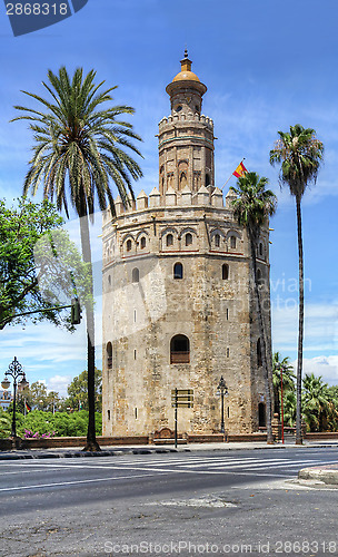 Image of Torre del Oro in Seville