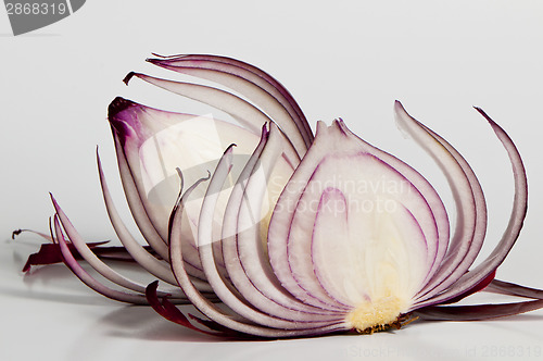 Image of Two slices of red onion