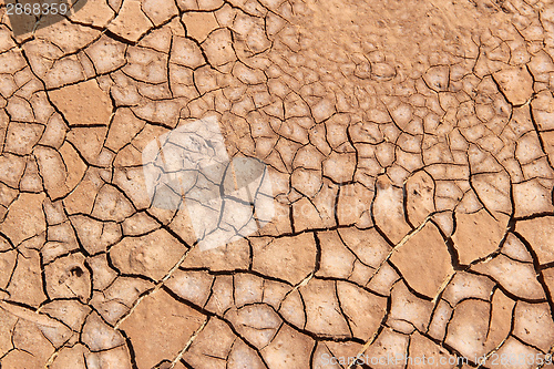 Image of Cracked soil