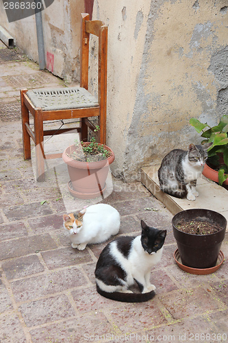 Image of Chania, Crete