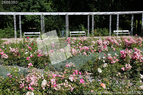 Image of Budapest park