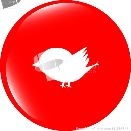 Image of Glossy isolated website and internet web icon with bird symbol