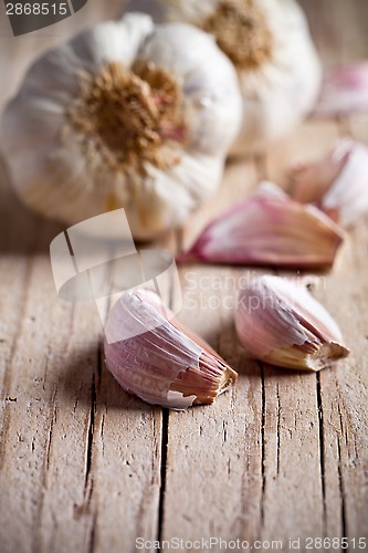 Image of fresh garlic 