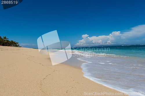 Image of Beautiful tropical beach with lush vegetation