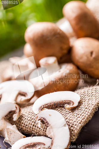 Image of Fresh brown Agaricus mushrooms