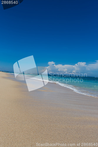 Image of Beautiful tropical beach with lush vegetation