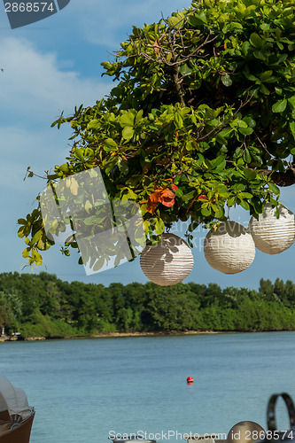 Image of Three paper lanterns hanging form a tree