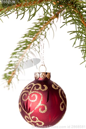 Image of Christmas ball hanging from a branch of a fir tree