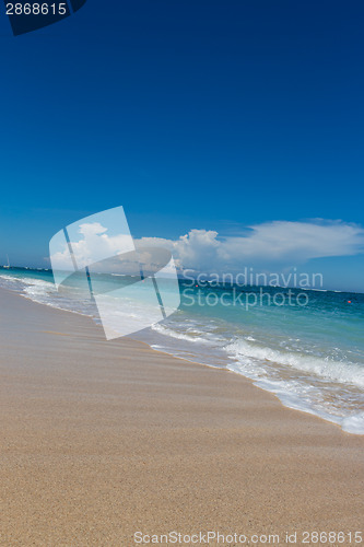 Image of Beautiful tropical beach with lush vegetation