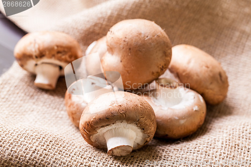 Image of Fresh brown Agaricus mushrooms