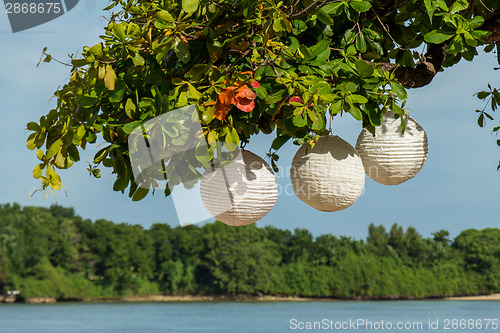 Image of Three paper lanterns hanging form a tree