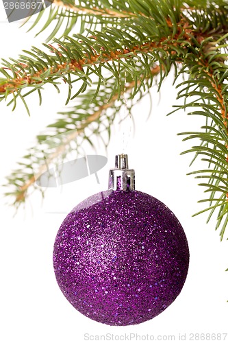 Image of Christmas ball hanging from a branch of a fir tree