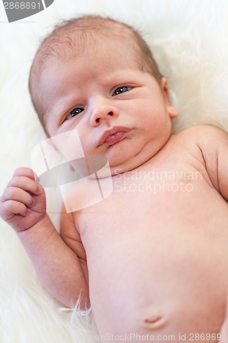 Image of Small baby lying in fur